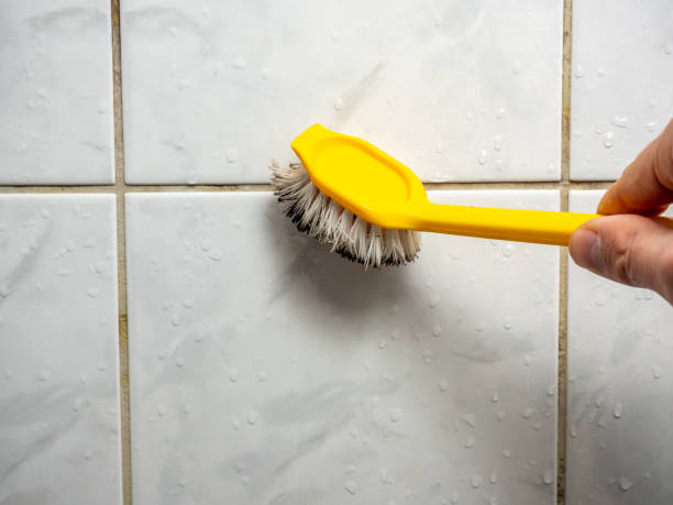 Best Residential Mold Removal  in Wilton Center, CT