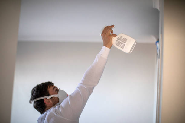 Best Black Mold Removal  in Wilton Center, CT