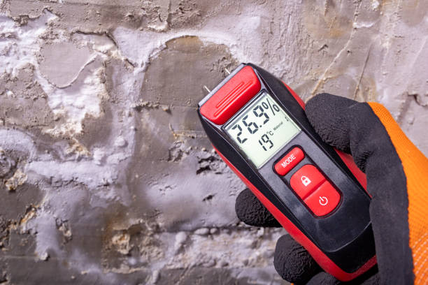 Best Mold Damage Repair  in Wilton Center, CT