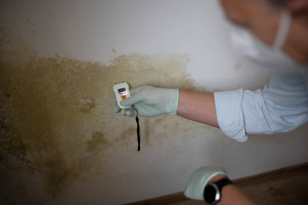 Best Crawl Space Mold Removal  in Wilton Center, CT