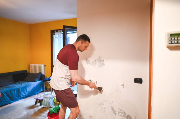Best Home Mold Removal  in Wilton Center, CT